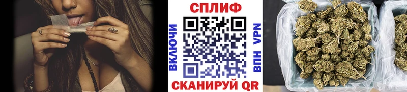 Конопля план  Удомля 